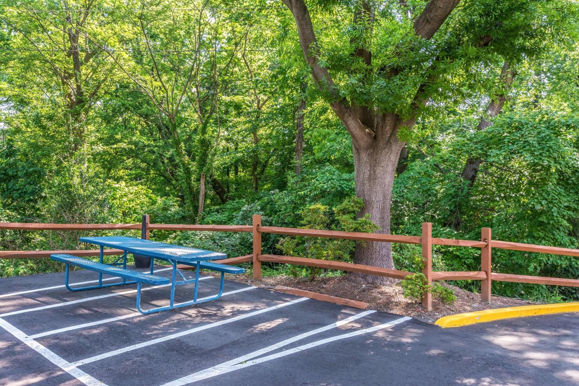Comfort Inn Charlotte Airport Uptown Екстериор снимка